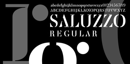 Saluzzo Font Poster 2