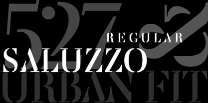 Saluzzo Font Poster 4