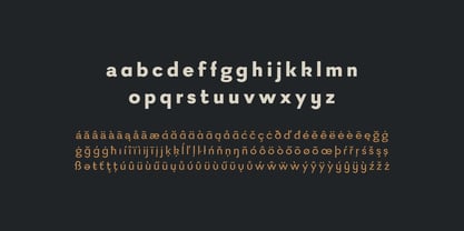 Firme Font Poster 6