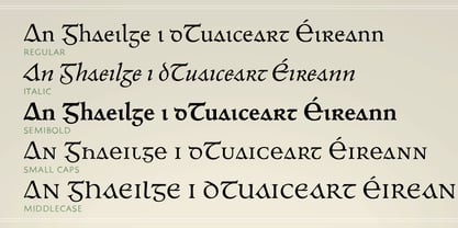 Andron 2 EIR Corpus Font Poster 5