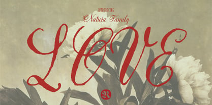 Natura Font Poster 5