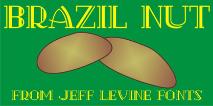 Brazil Nut JNL Font Poster 1