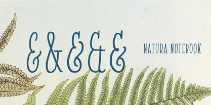 Natura Font Poster 10