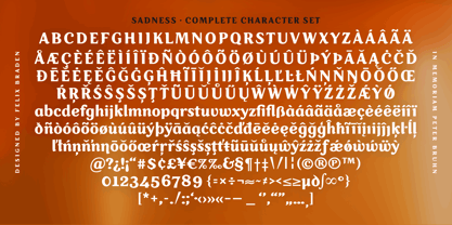 Sadness Font Poster 6