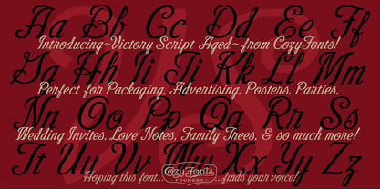 Victory Script Font Poster 8