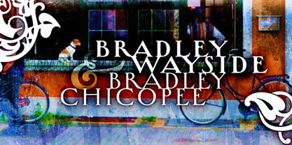 Bradley Font Poster 1