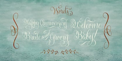 Gratitude Script Font Poster 14