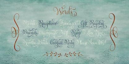 Gratitude Script Fuente Póster 15