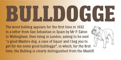 Bulldog Hunter Std Font Poster 5