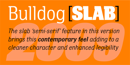 Bulldog Slab Font Poster 3