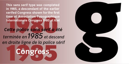 Congress Sans Font Poster 1