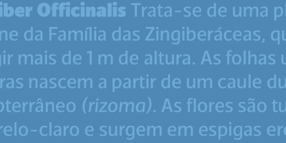 TCF Diple Font | Webfont & Desktop | MyFonts