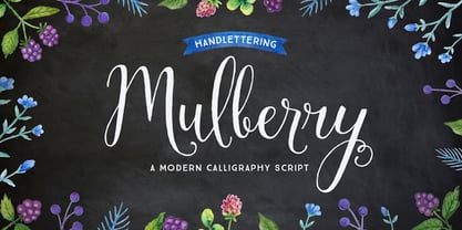 Mulberry Script Fuente Póster 1