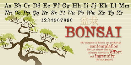 Bonsai Font Poster 4