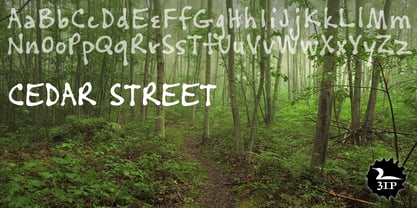 Cedar Street Font Poster 1