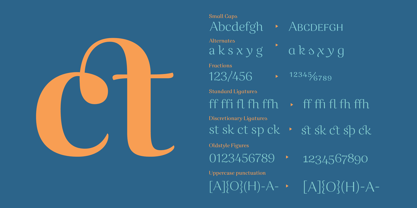 Caturrita Display Font Poster 3