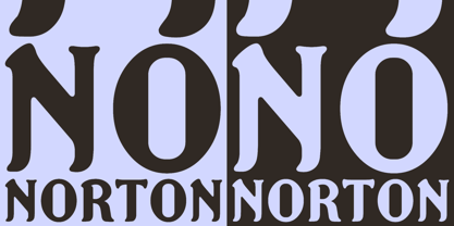Norton Font Poster 3