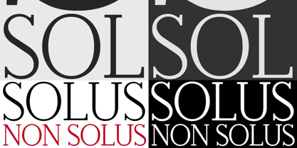 Non Solus Font Poster 2