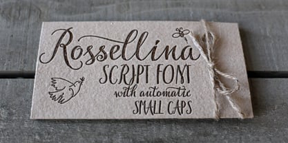 Rossellina Font Poster 2