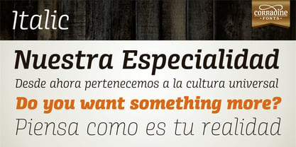 Alianza Font Poster 5