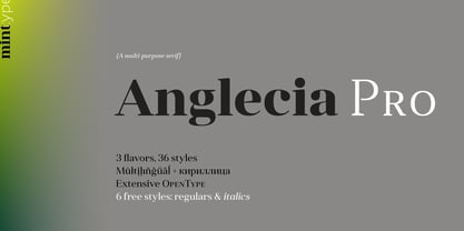 Anglecia Pro Font Poster 1