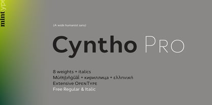 Cyntho Pro Font Poster 1