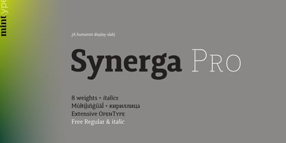 Synerga Pro Font Poster 1