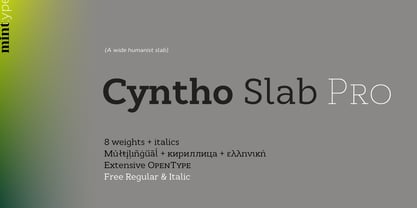 Cyntho Slab Pro Font Poster 1