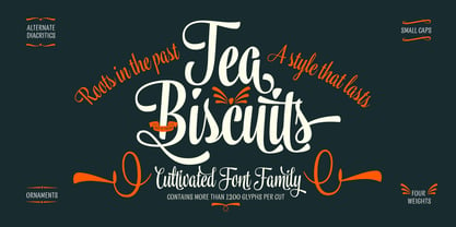 Tea Biscuit Font Poster 1