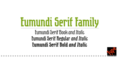 Eumundi Serif Police Poster 2