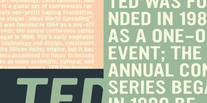 YWFT Ultramagnetic Expanded Font Poster 1
