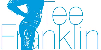 Tee Franklin Fuente Póster 3