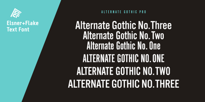 Alternate Gothic Pro EF Fuente Póster 1