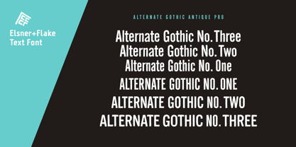 Alternate Gothic Pro Antique Font Poster 3