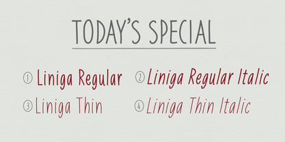 Liniga Font Poster 4