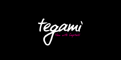 Tegami Font Poster 1
