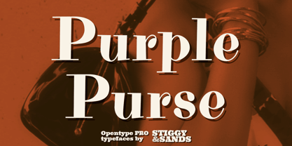 Purple Purse Pro Font Poster 1