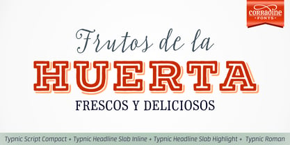 Typnic Headline Slab Fuente Póster 7