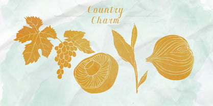 Country Charm Fuente Póster 2