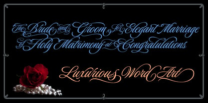 Luxurious Font Poster 13