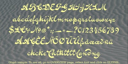 Novelty Script Font Poster 3