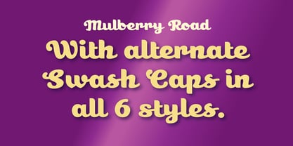 Mulberry Road Font Poster 4