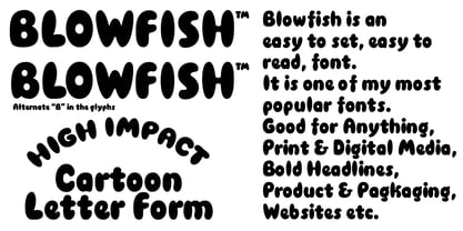 Blowfish Font Poster 3