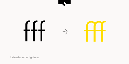 FF Bauer Grotesk Fuente Póster 7