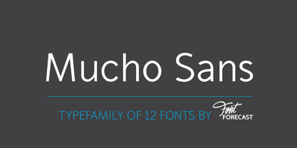 Mucho Sans Font Poster 1