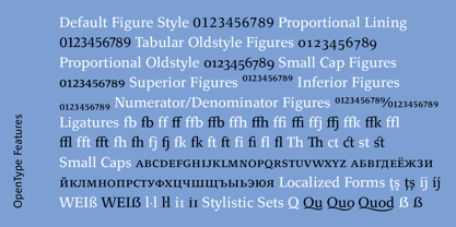 Quodlibet Serif Fuente Póster 10