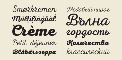 Nexa Script Font Poster 6