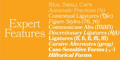 Bookmania Font Poster 5