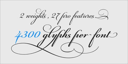 PF Champion Script Pro Font - YouWorkForThem