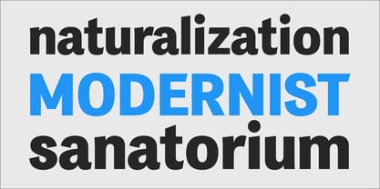 PF Das Grotesk Pro Font Poster 3